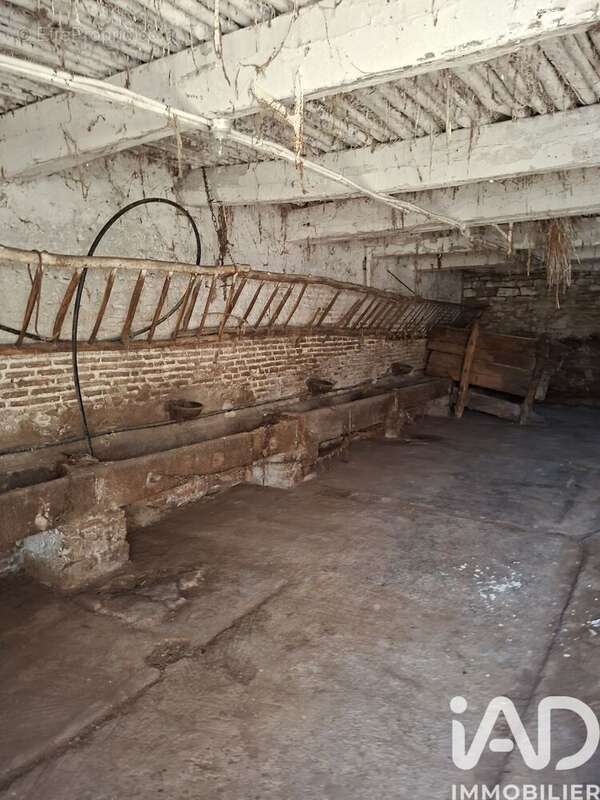 Photo 7 - Maison à CIEL