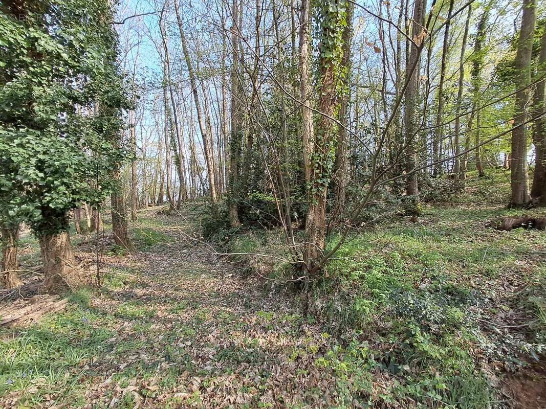 Maison 204 m² à Saint-Saturnin  - photo 8