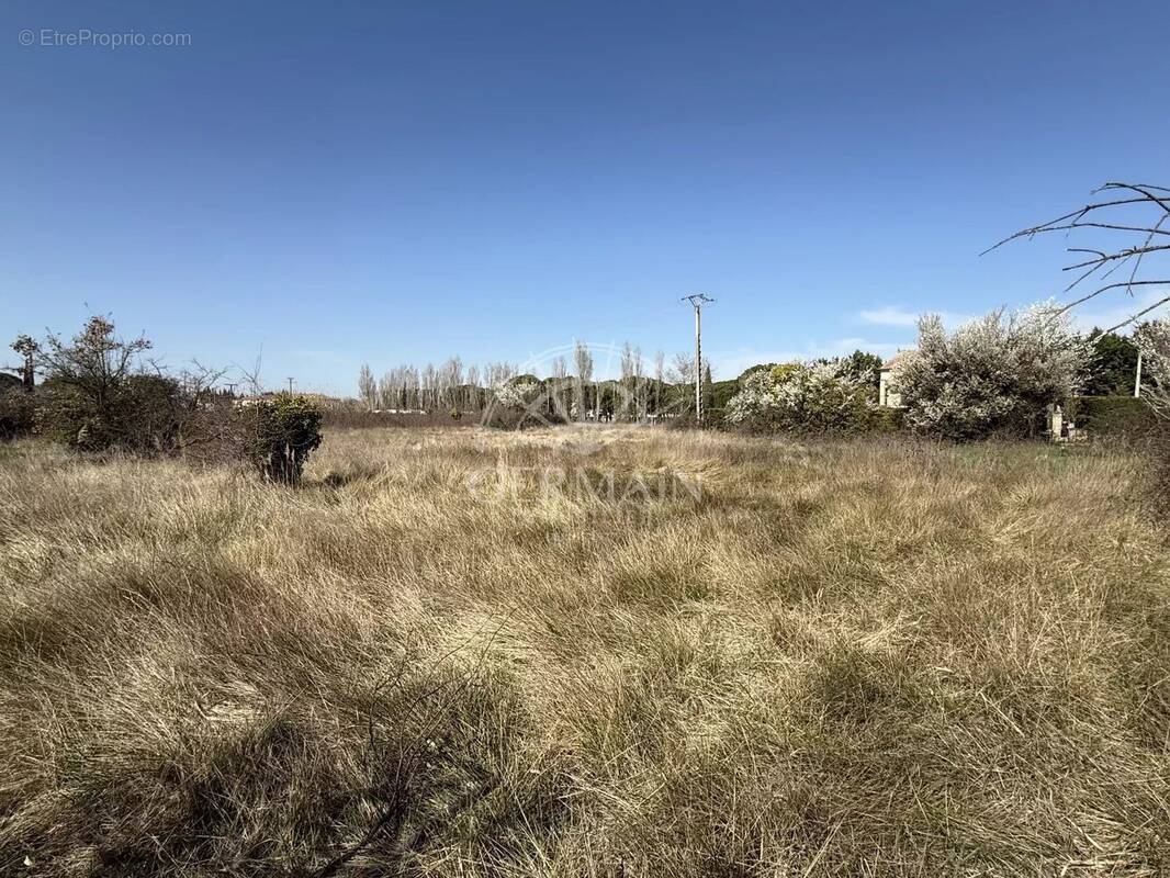 Terrain à L&#039;ISLE-SUR-LA-SORGUE