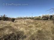 Terrain à L&#039;ISLE-SUR-LA-SORGUE