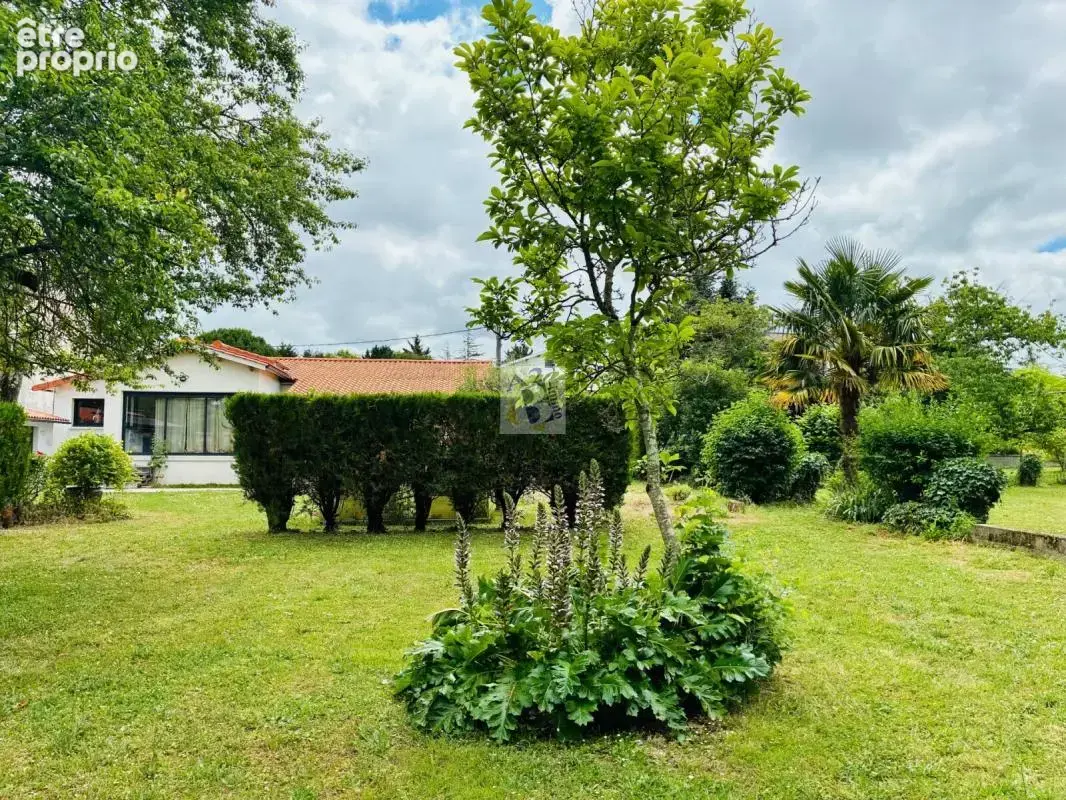 Rare sur le secteur! maison de plain pied avec grand parc arore au coeur de l'isle d'espagnac - photo 27