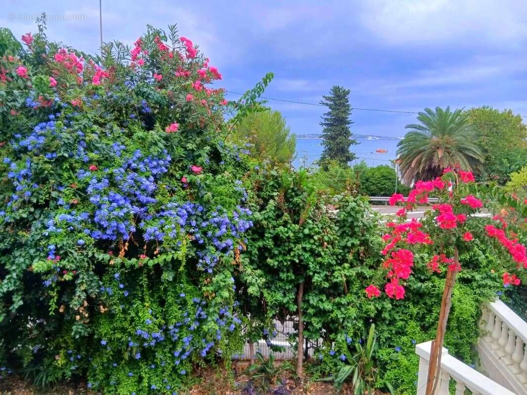 Golfe juan, limite cannes vente maison vue mer - photo 5