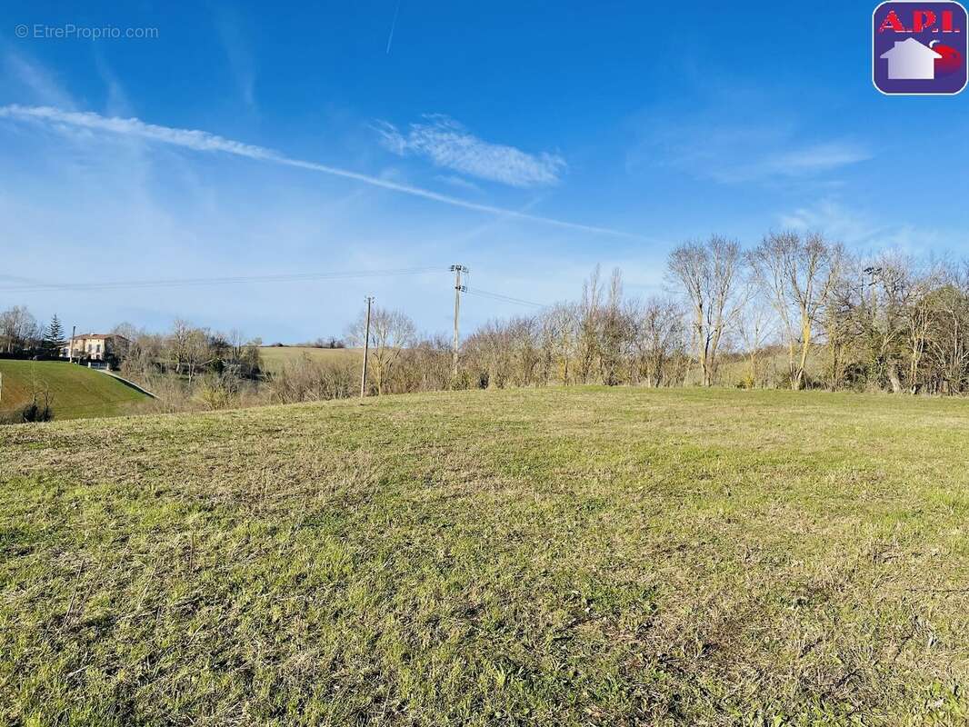Terrain à CARLA-BAYLE