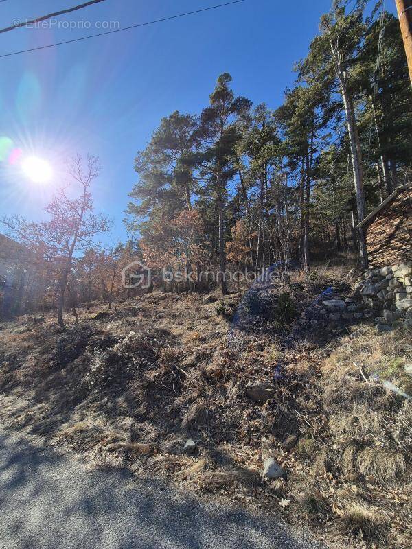 Terrain à BEAUVEZER