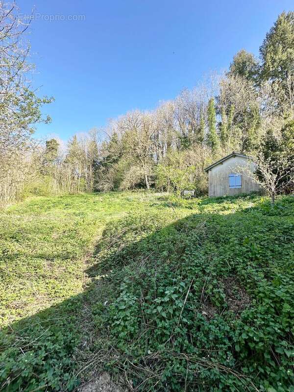 Photo 2 - Maison à BRASSAC