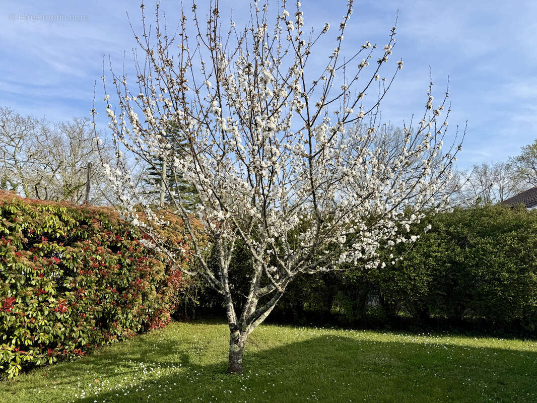 Maison à SAINT-AUBIN-DE-MEDOC