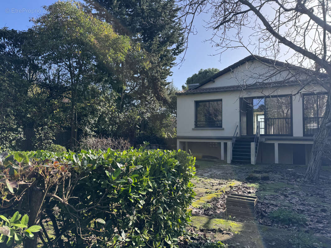 Maison à MONTPELLIER