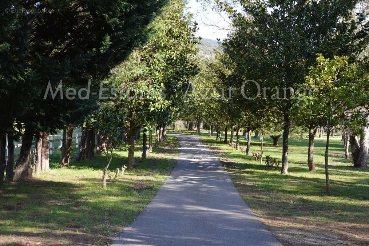 Propriété unique de 27 hectares au calme - superbes vues - photo 3