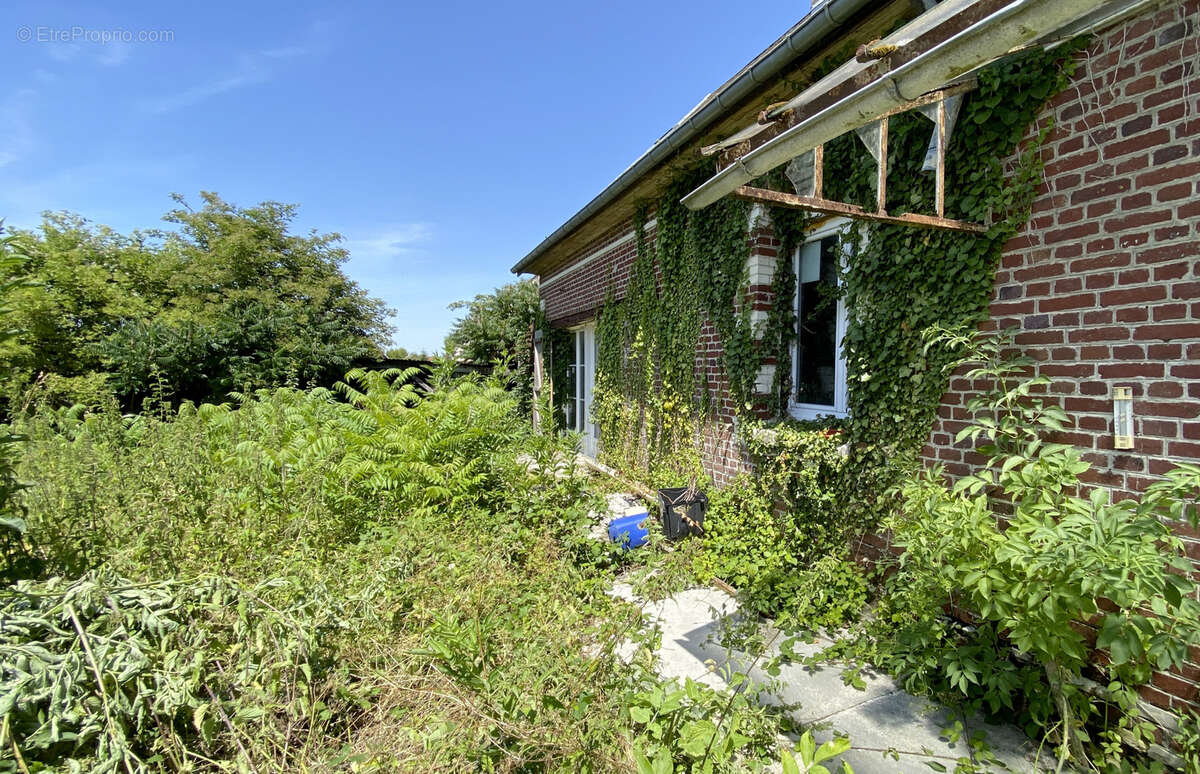 Beau potentiel - photo 8