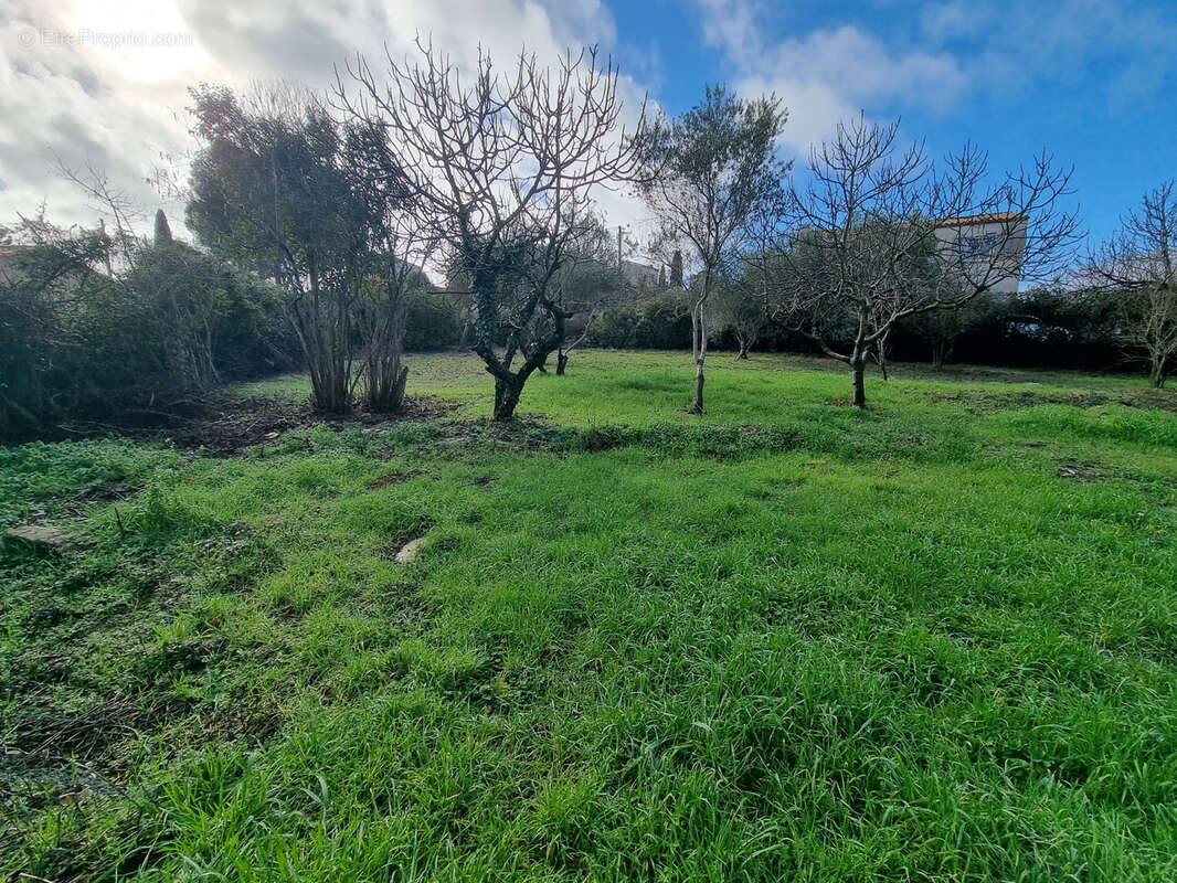 Terrain à SUSSARGUES