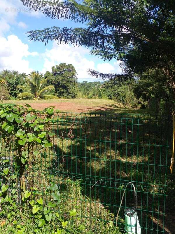 Photo 5 - Terrain à LE LAMENTIN