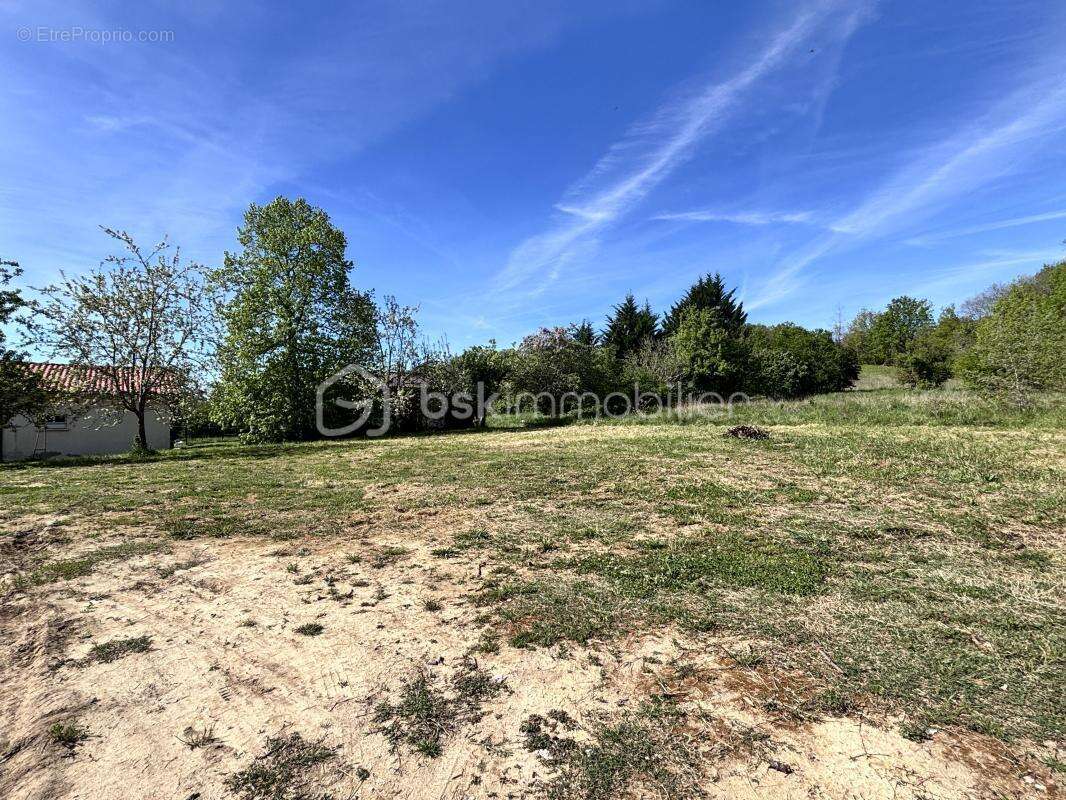 Terrain à RABASTENS