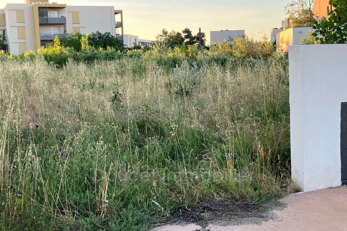 Terrain à SERIGNAN