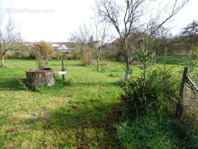 Maison à MIGNEVILLE