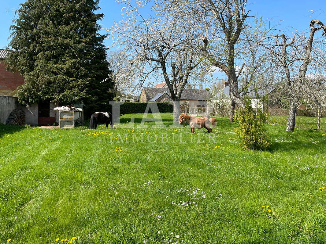 Maison à LE MELE-SUR-SARTHE