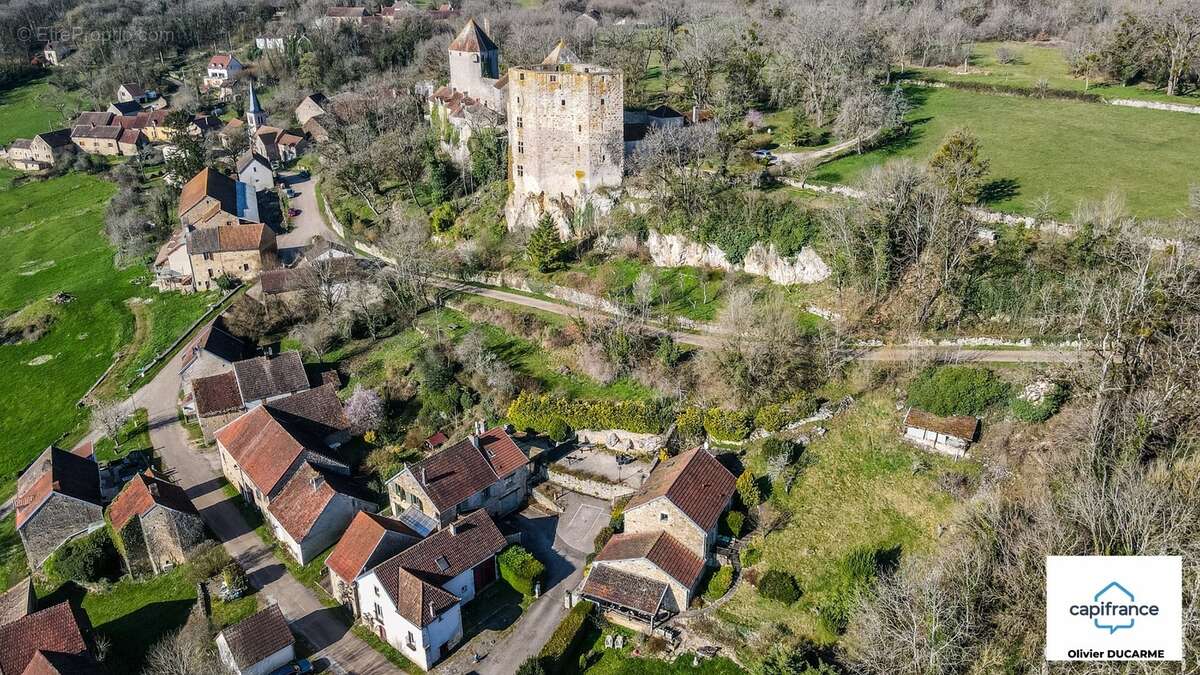 Murs et fonds : gite, chambres d'hôtes et table d'hôtes à vendre CHAUDENAY LE CHATEAU (21) - photo 3