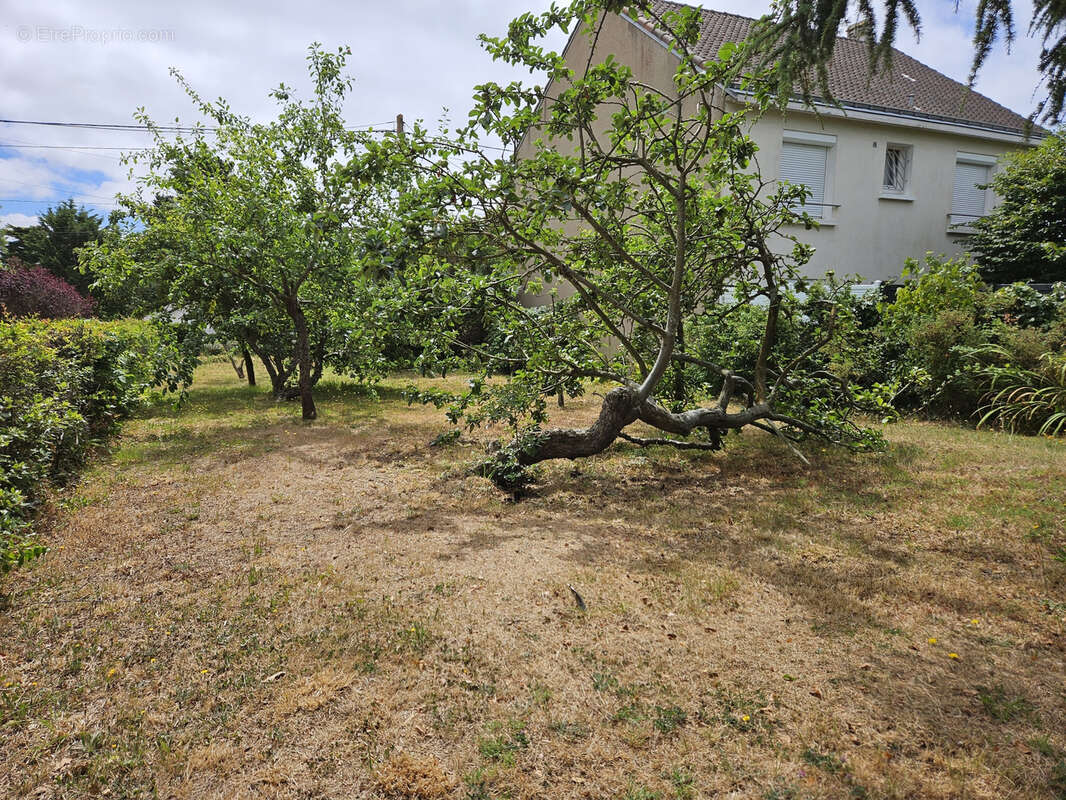 Terrain à SAINT-NAZAIRE