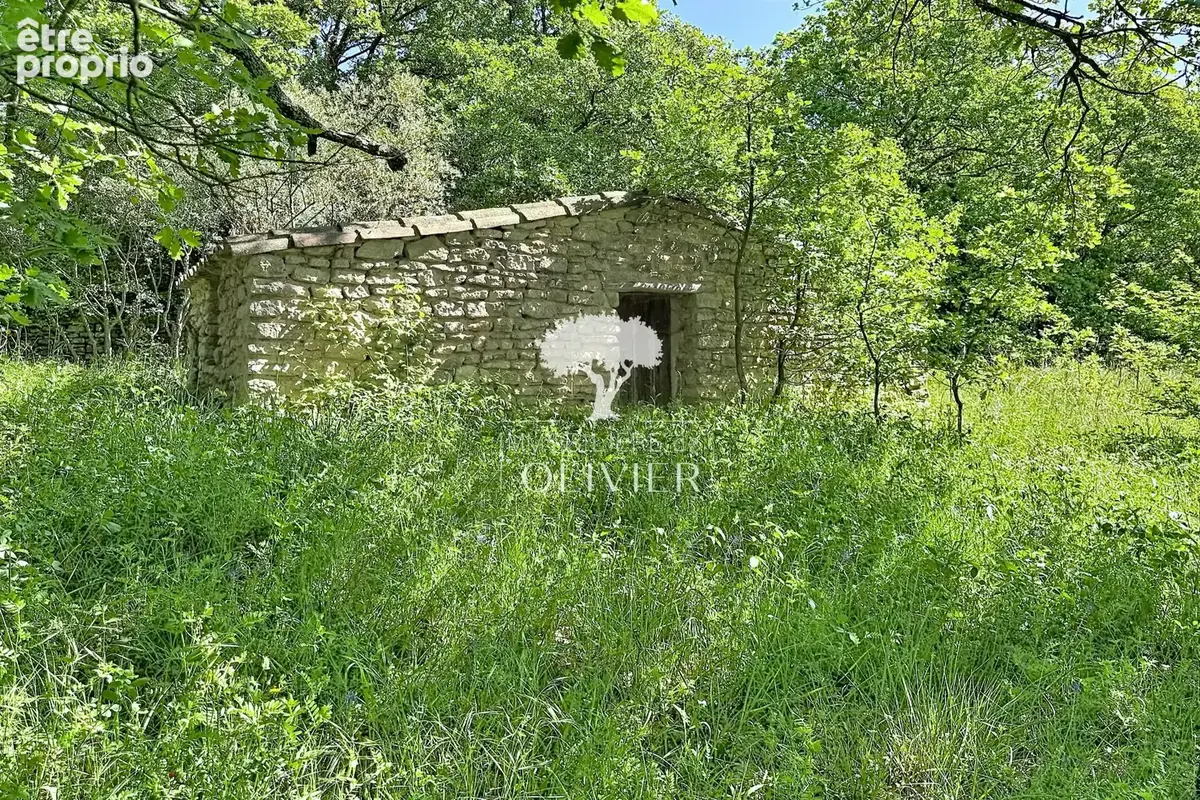 Maison 8 pièces 220 m² à vendre à Saignon (84400) - photo 3