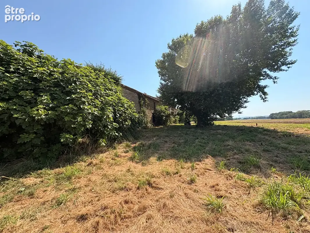 Ferme à restaurer entièrement - Lapalud - 440m² - photo 15