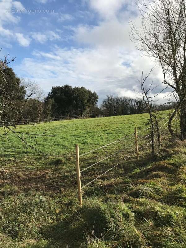 Maison à CHATEAUNEUF-SUR-CHARENTE