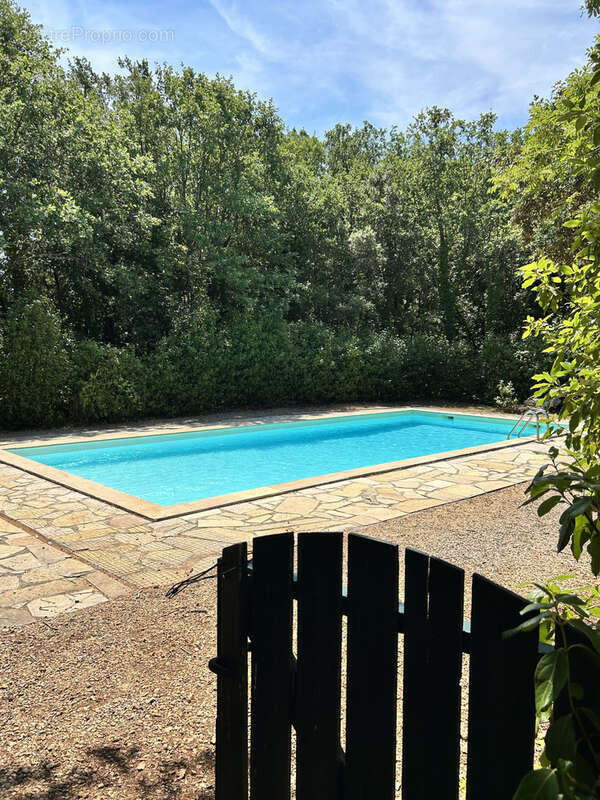Le Val - A 7 Minutes de l'A8 - Bastide provençale de caractère sur plus de 3 hectares   Piscine   Calme absolu - photo 6