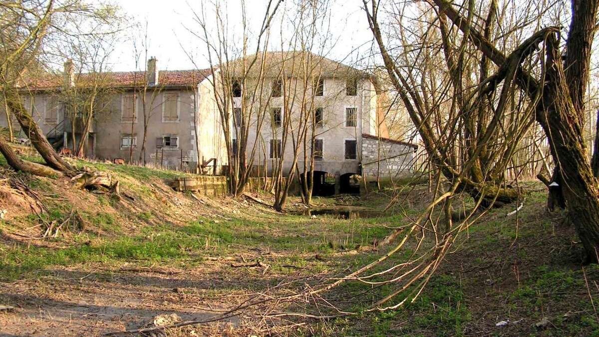 Commerce à PAGNY-SUR-MEUSE