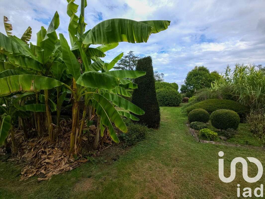 Photo 4 - Maison à CALES