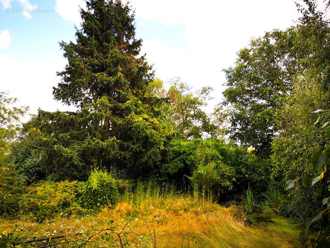 Maison à SAINT-GERMAIN-LE-GAILLARD