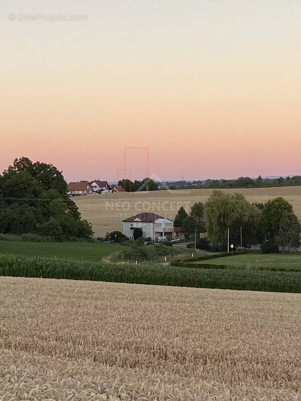 Appartement à MERKWILLER-PECHELBRONN