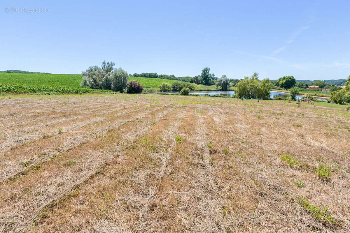 Terrain à AIRE-SUR-L'ADOUR