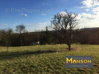 Terrain à EINVILLE-AU-JARD
