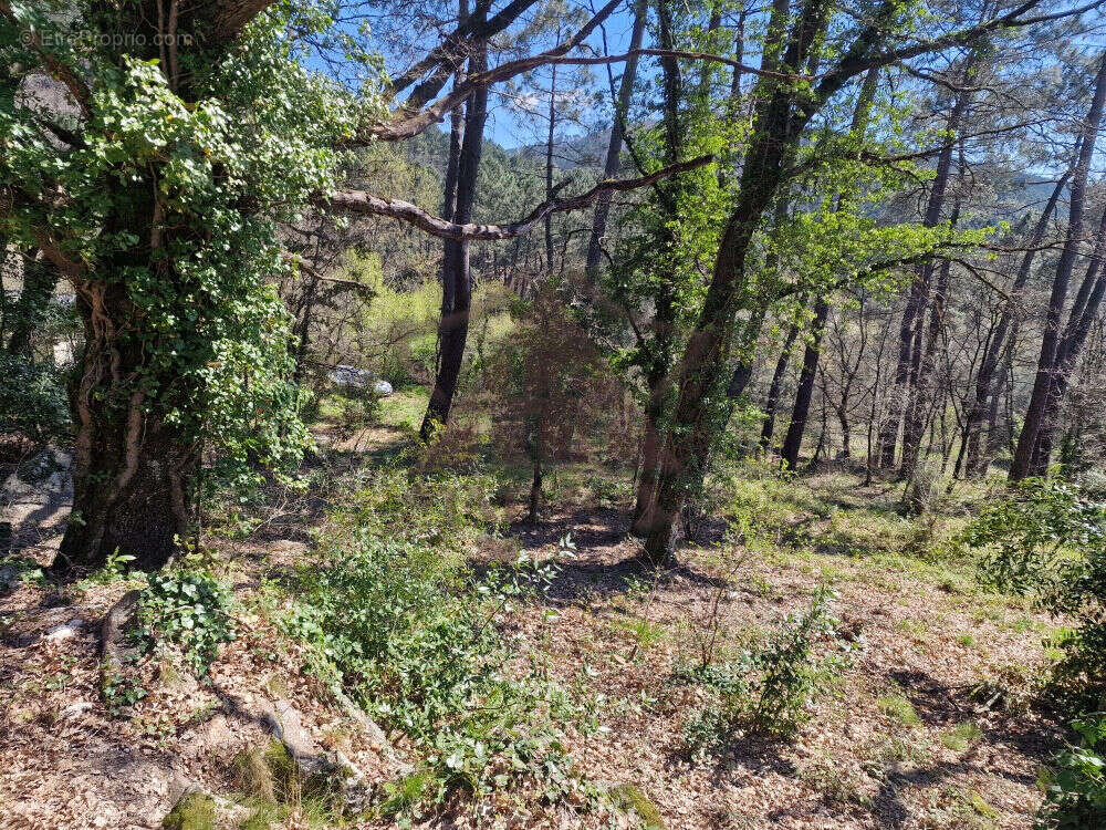 Terrain à PORTES