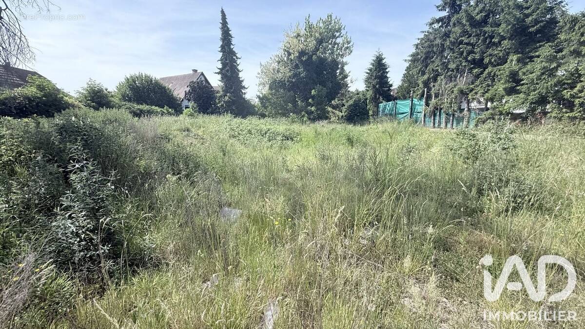 Photo 1 - Terrain à ERSTEIN