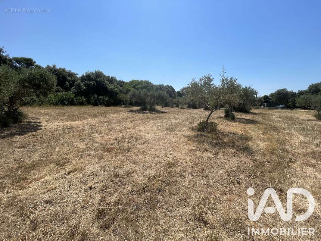 Terrain 1764 m² à Saint-Siffret  - photo 7