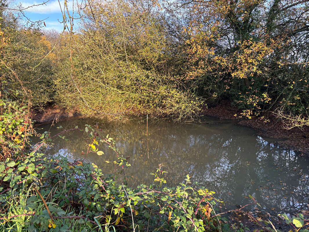 Maison à CHATEAU-GONTIER