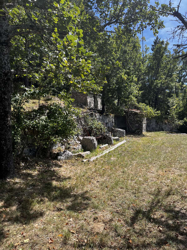 NOÉ - Hameau isolé, calme absolu, rare - photo 2