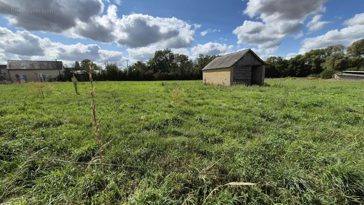 Terrain à NOYEN-SUR-SARTHE