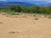 Terrain à LOS MASOS