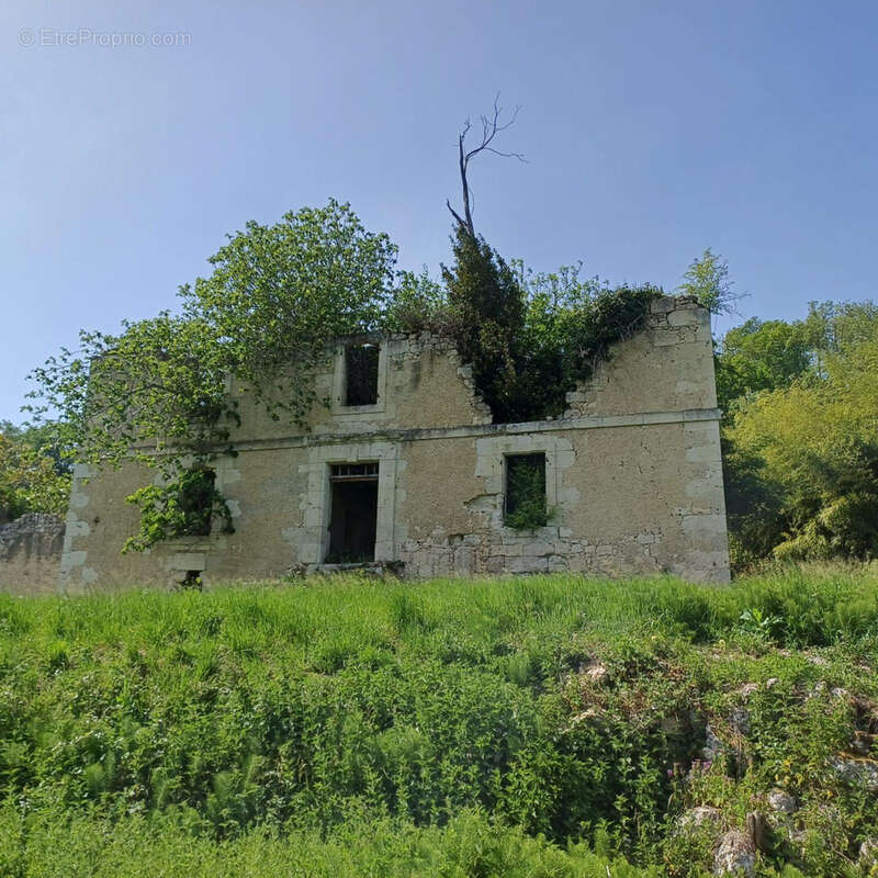 Ancienne Maison de Maître terre et bois 6 Ha - photo 4