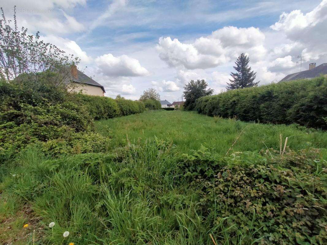 Terrain à VILLAINES-LA-JUHEL