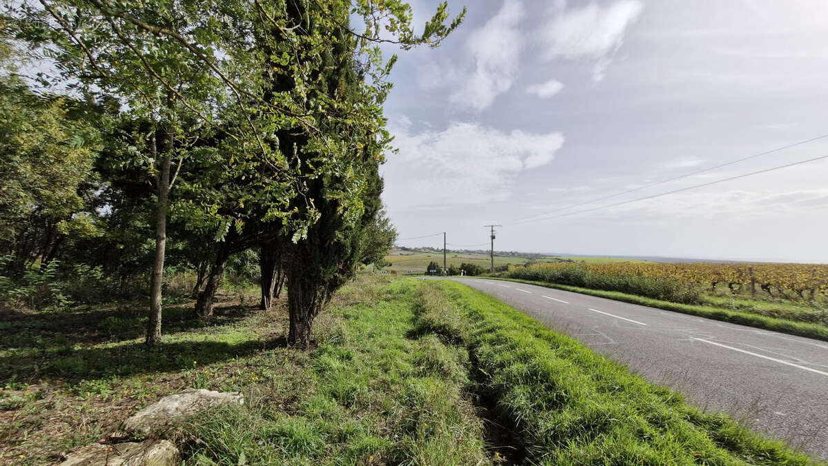 Terrain à CHENAC-SAINT-SEURIN-D&#039;UZET
