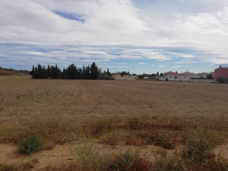 Terrain à LIGNAN-SUR-ORB