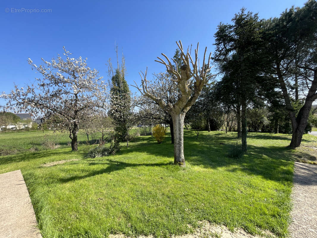 Maison à SOULAINES-SUR-AUBANCE