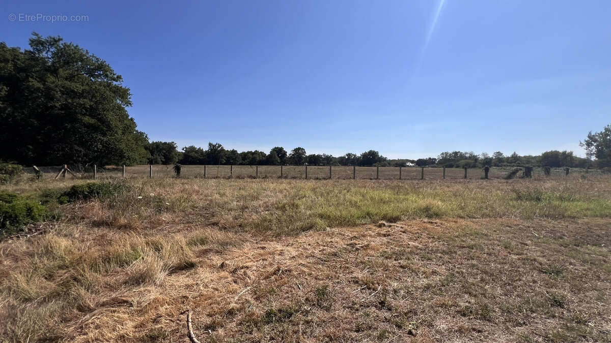 St Sulpice et Cameyrac- Propriété à rénover 300 m2 hab+ Grange sur 5 hectares - photo 16
