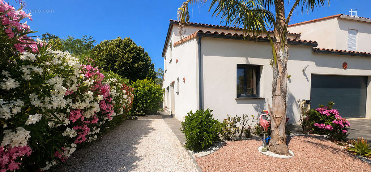 Achat - saint cyprien - villa contemporaine avec piscine - photo 2