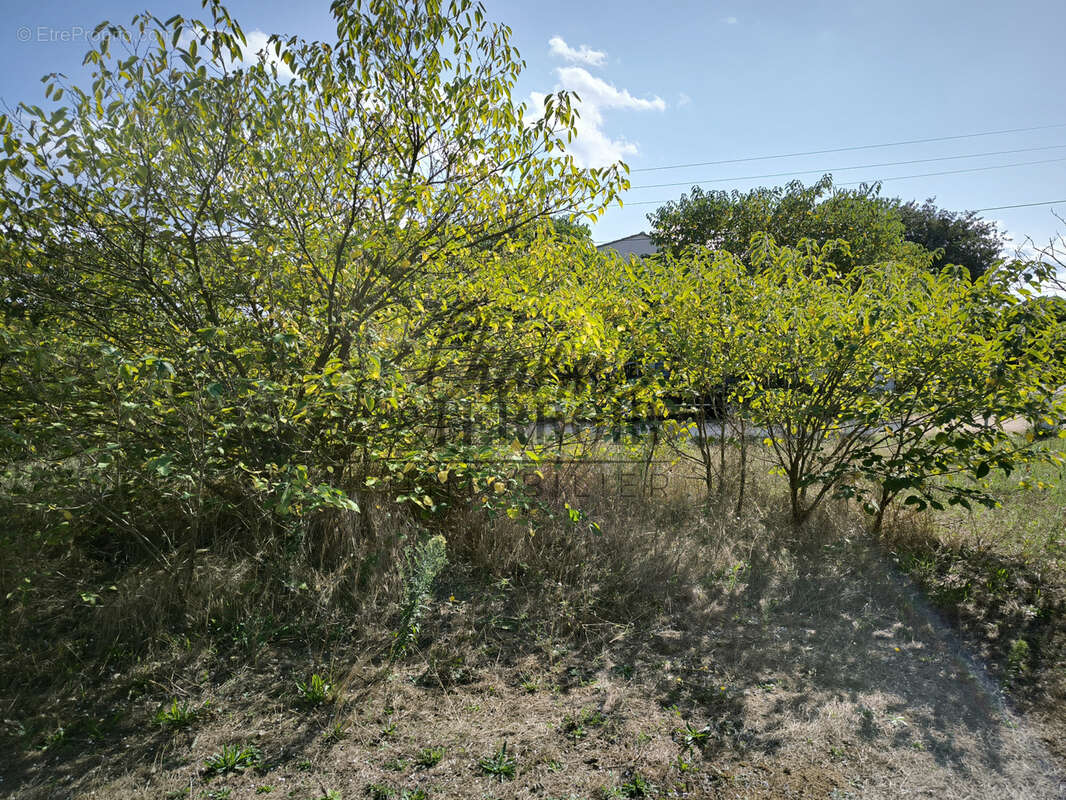 Terrain à UZES