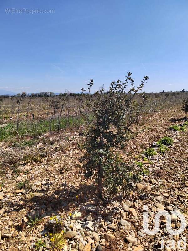 Photo 4 - Terrain à ROCHEGUDE
