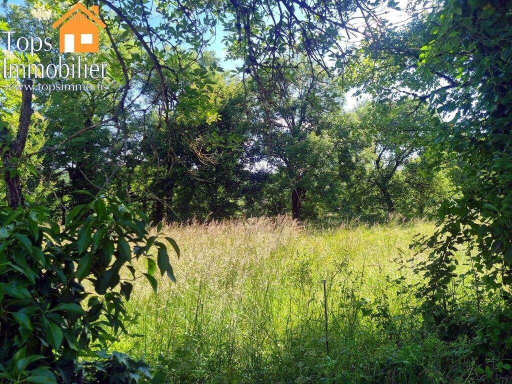 Terrain à VILLEFRANCHE-DE-ROUERGUE