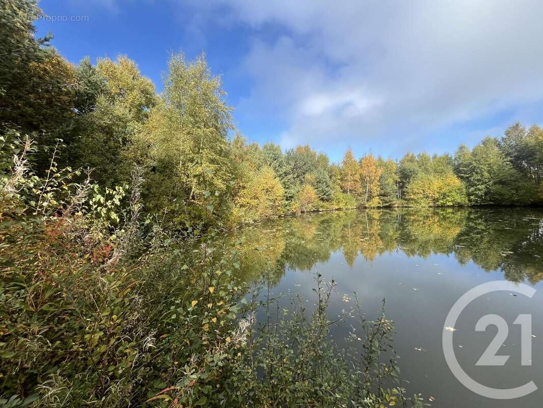 Terrain à BURDIGNES