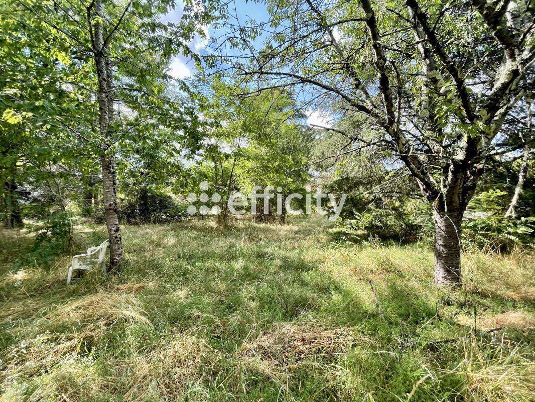 Maison 138 m² à Milhars  - photo 15